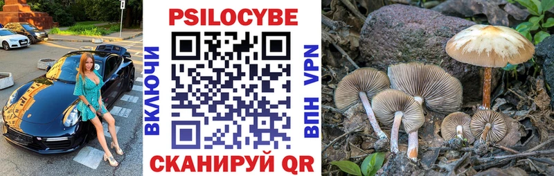 Галлюциногенные грибы Psilocybine cubensis Минусинск