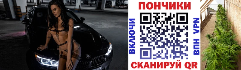 продажа наркотиков  Минусинск  Канабис MAZAR 